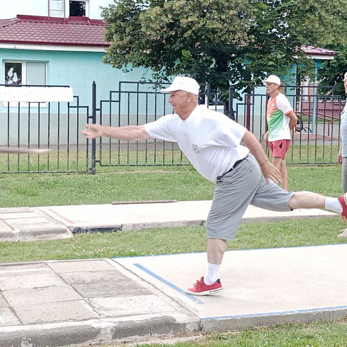 Соревнования по городошному спорту среди ветеранов спорта и физической культуры, посвященные Дню Независимости Республики Беларусь